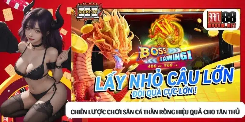 Chiến lược chơi săn cá Thần Rồng hiệu quả cho tân thủ